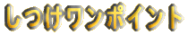 |Cg 