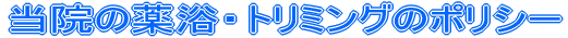 @̖򗁁Eg~Õ|V[