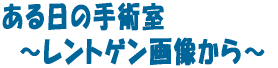 ̎p @`gQ摜`